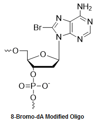 Bio-Synthesis Inc. Oligo Structure